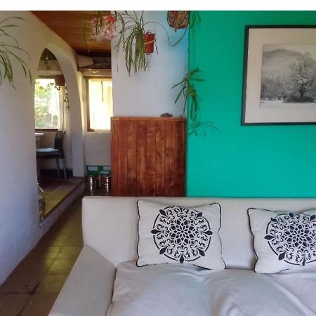 Casita En La Montana Appartement San Martín de los Andes Buitenkant foto