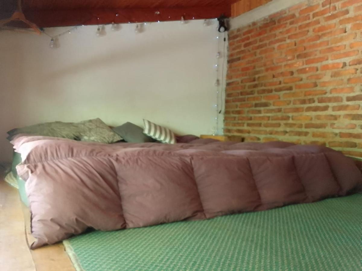 Casita En La Montana Appartement San Martín de los Andes Buitenkant foto