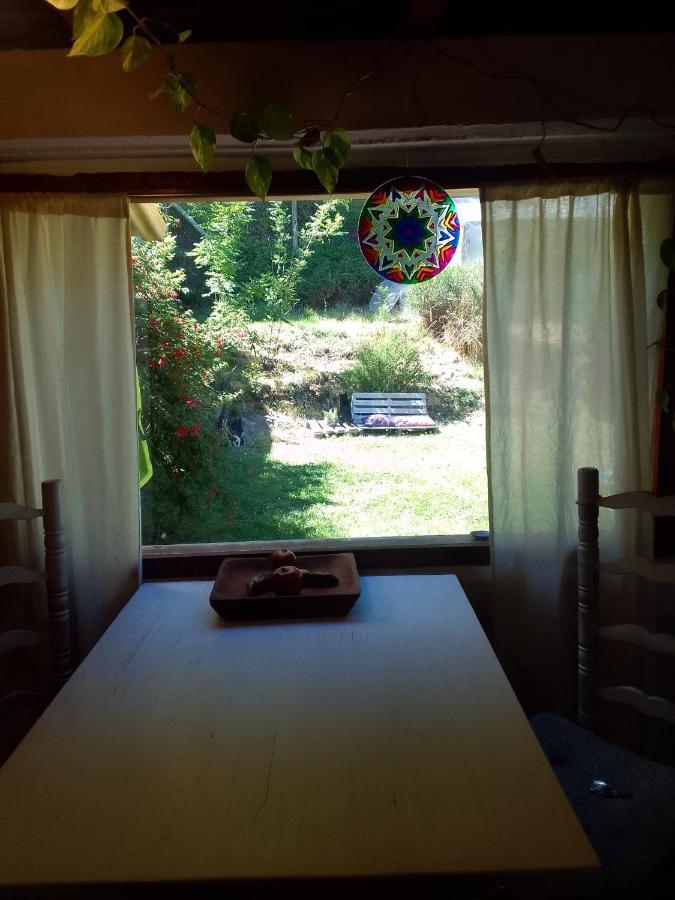 Casita En La Montana Appartement San Martín de los Andes Buitenkant foto